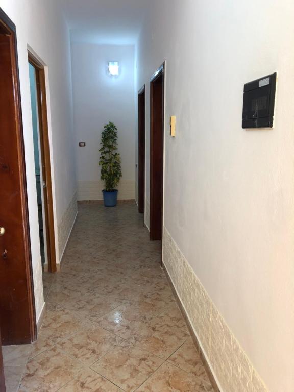 Guest House MURATI photo