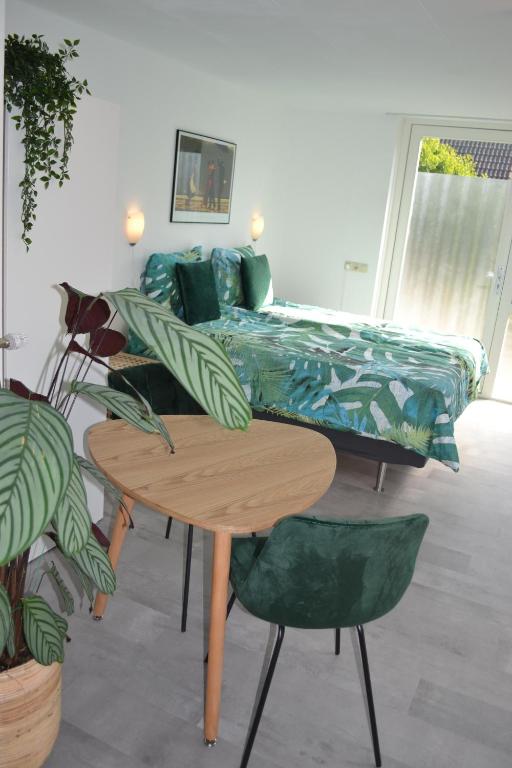 Studio 38, Zandvoort