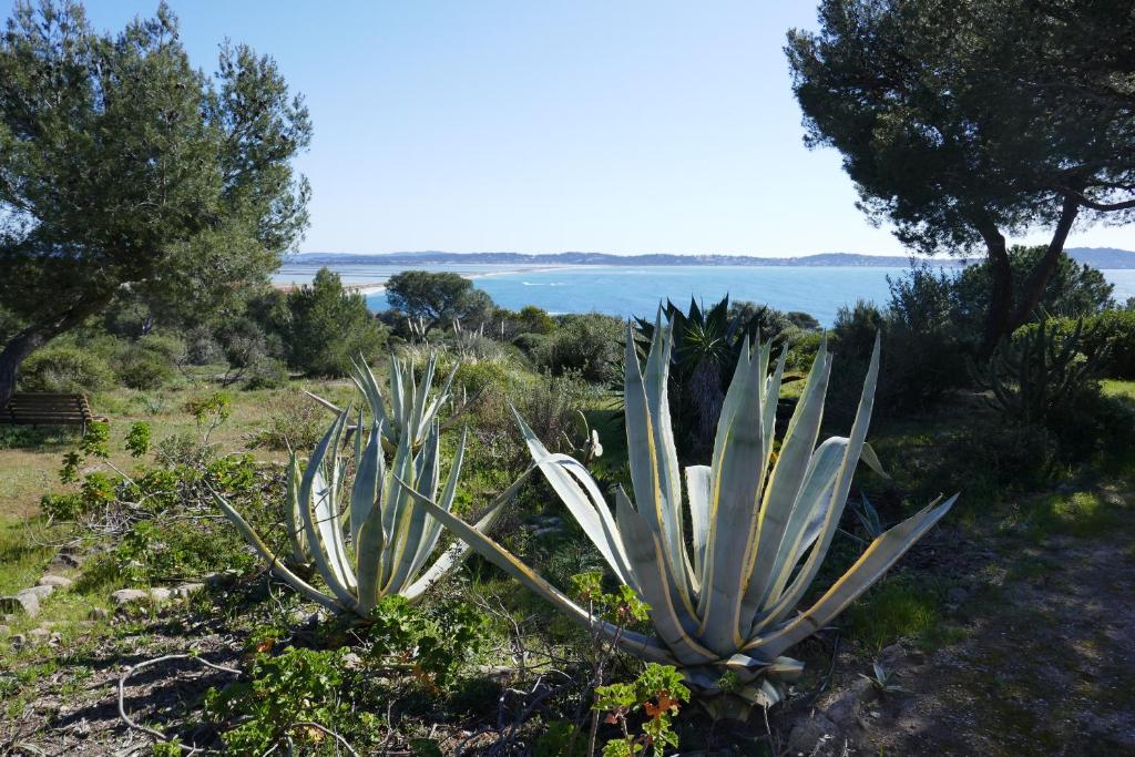 Bel Appartement accès direct mer; L'Almanarre, HYERES - 5