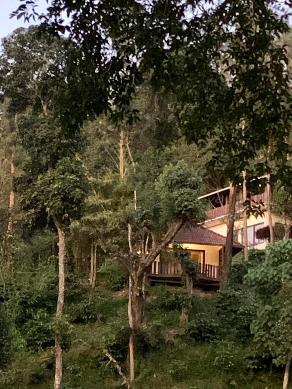 Serene Woods — Hotel in Coorg
