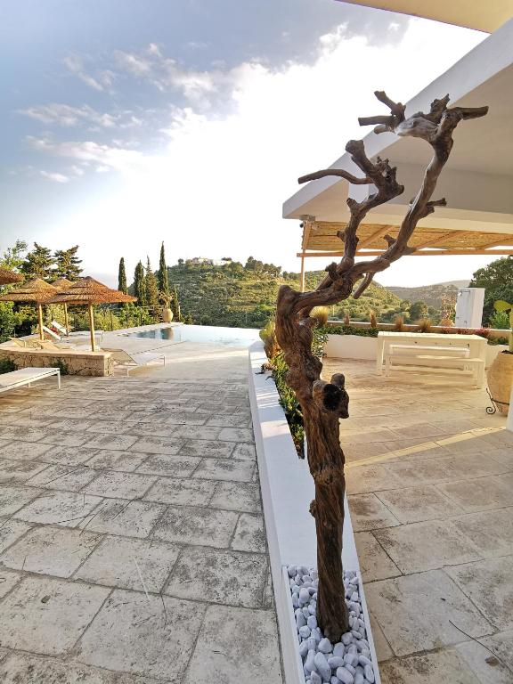Casa Del Mandorlo - 3