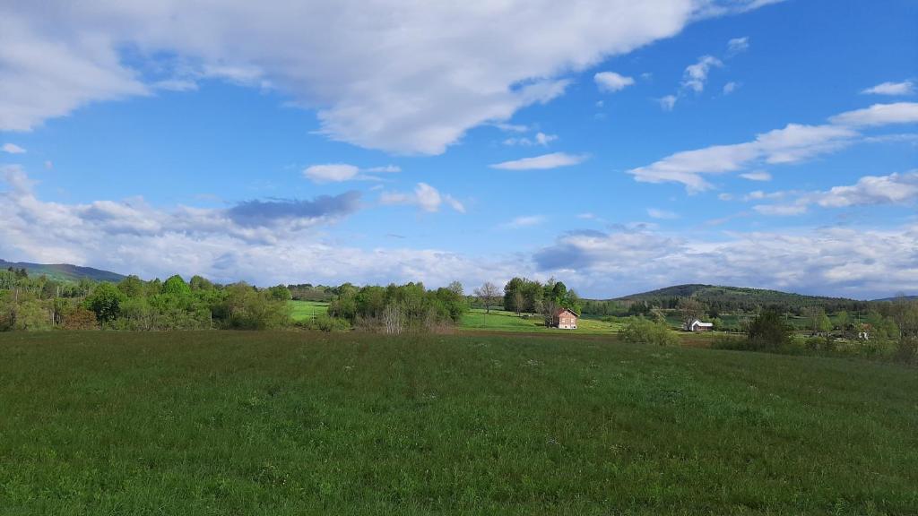 Tiny House Grabovac photo