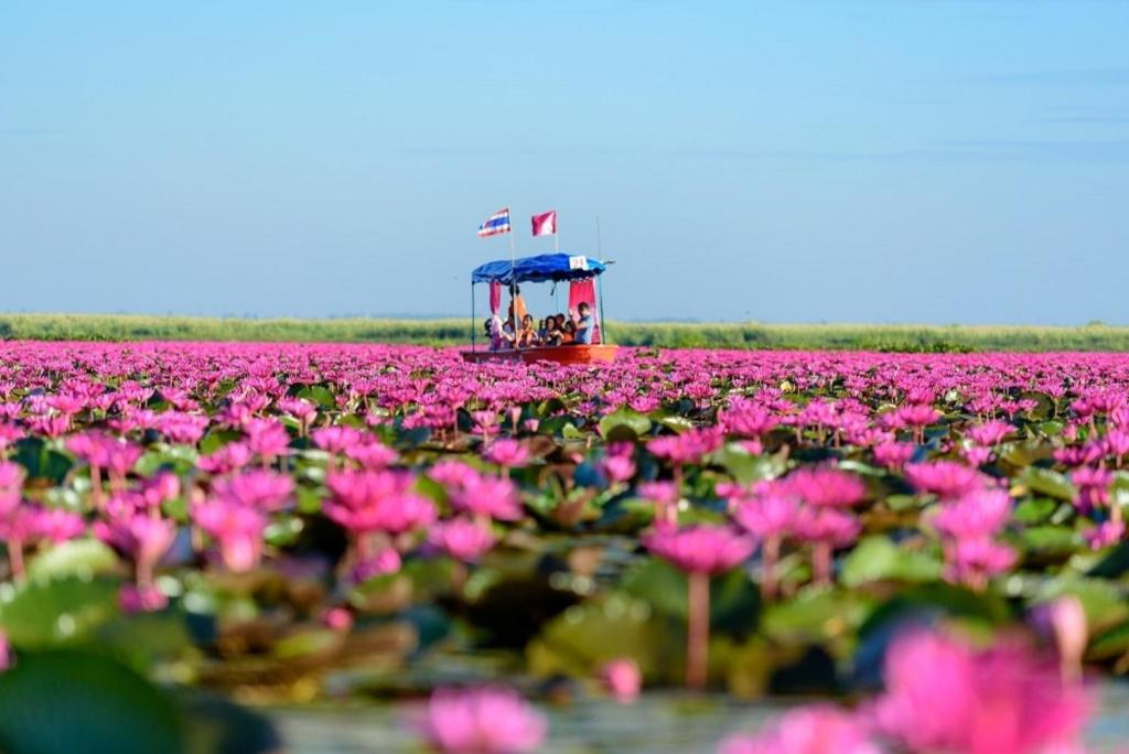 ที่เที่ยวใกล้ที่พัก