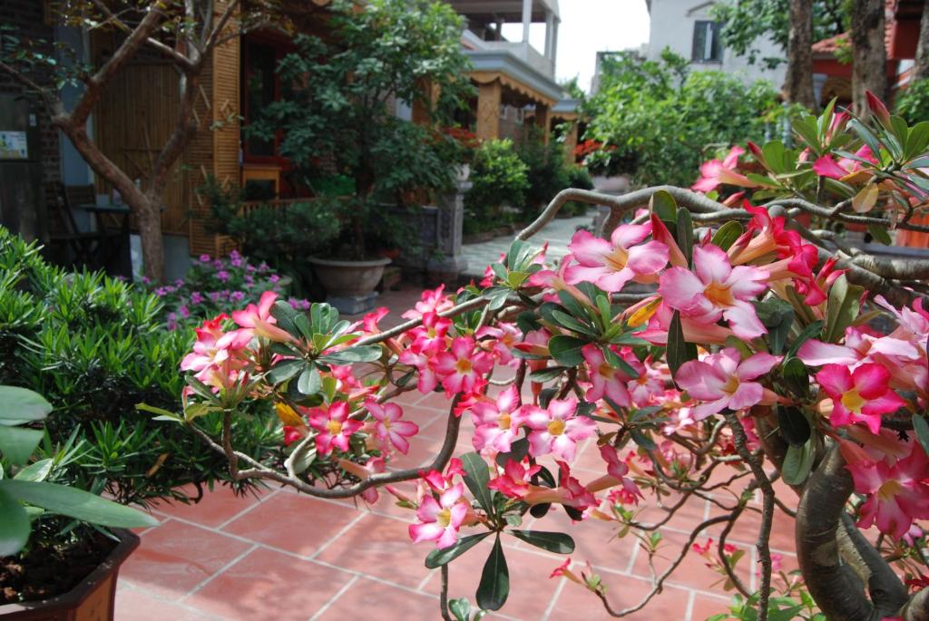 Tam Coc Family Homestay photo