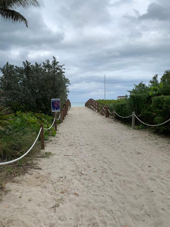 Dream Studio on the Beach photo