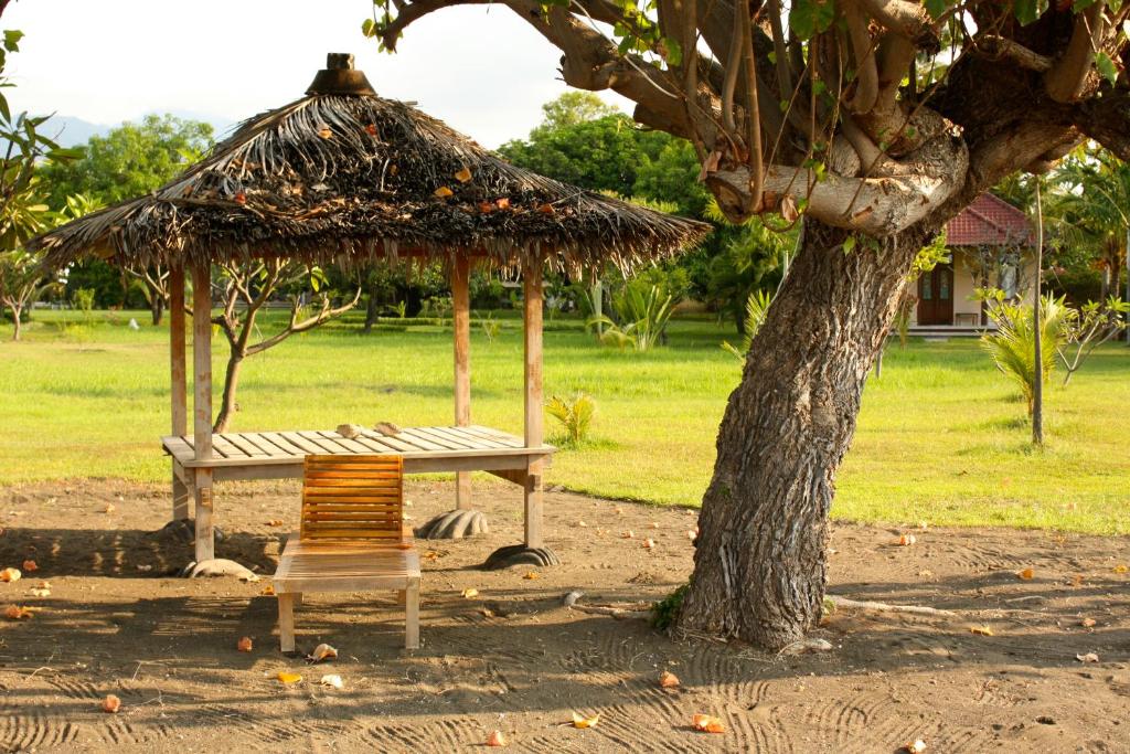 Bali Oase Resort photo