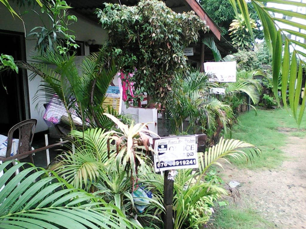 Lotus Inn Tourist Resort photo