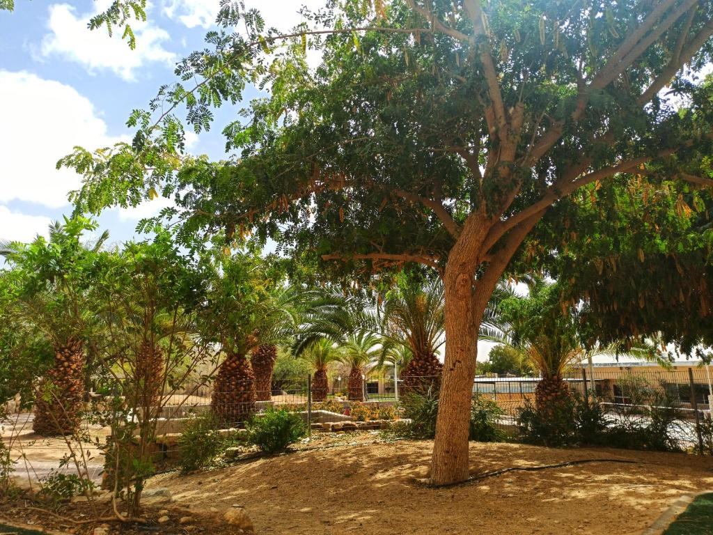Kibbutz Ketura Guest House photo