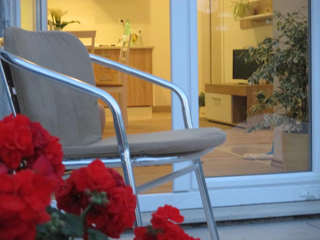 Apartment near center beach bus free parking 전경
