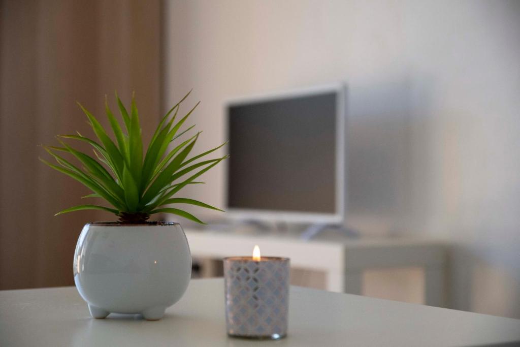 Studio terrasse Montpellier - Parking privé - Proche ligne 1 - 2