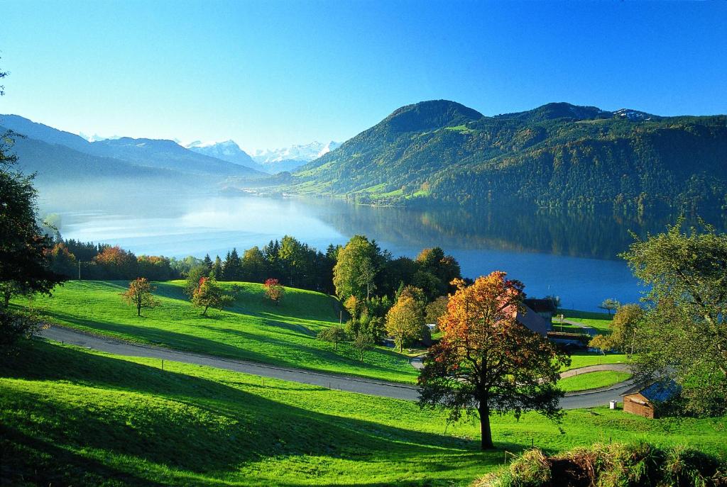 周辺観光スポット