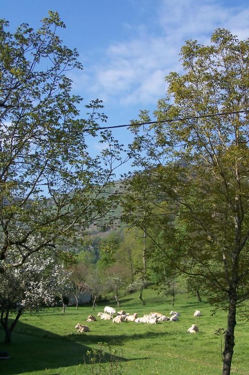 Gite du Lac - 2