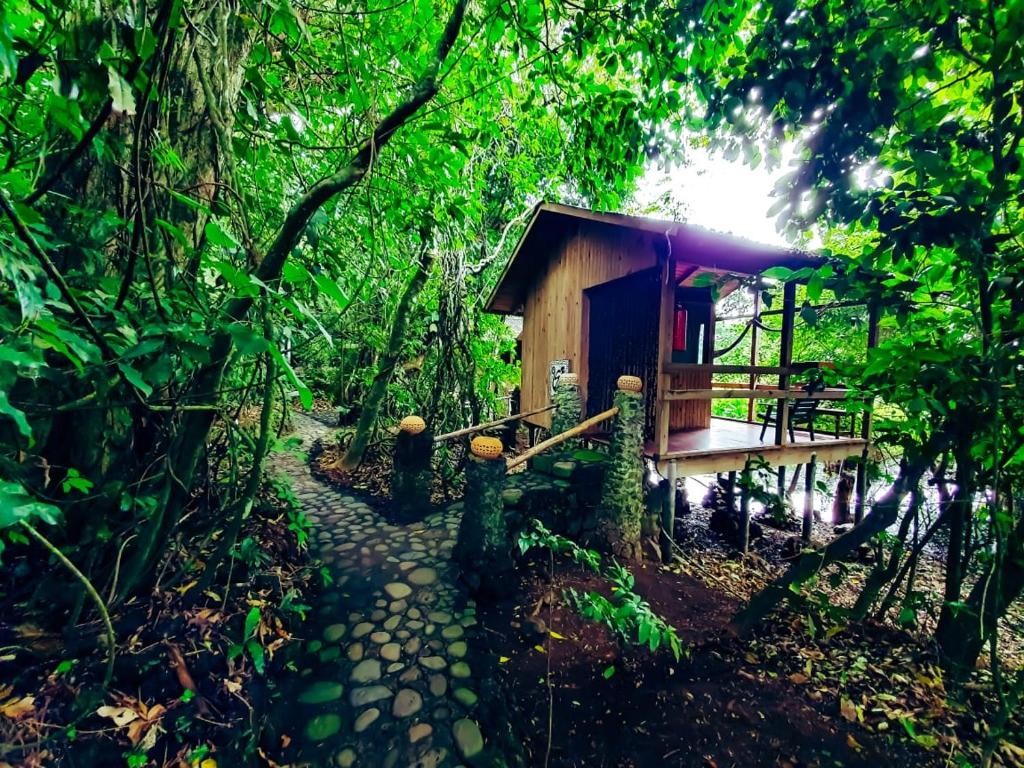 Reserva Ecologica Nanciyaga photo