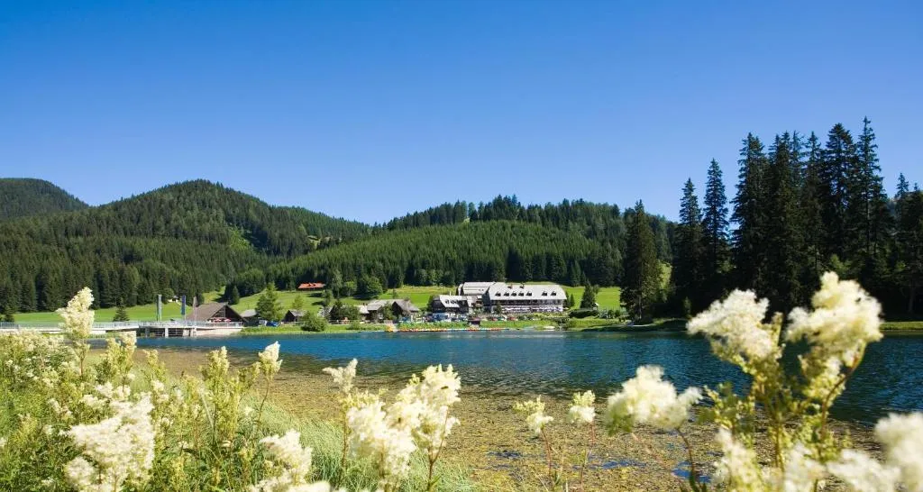 Hotel Teichwirt, hotel in Fladnitz an der Teichalm