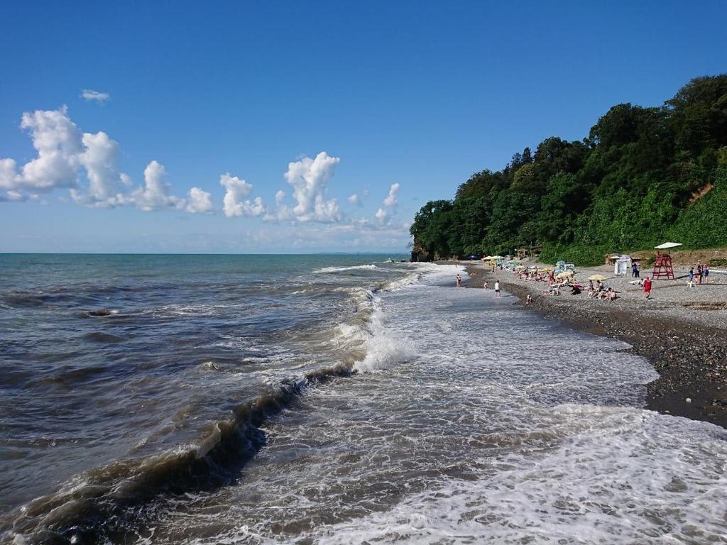 Green Line Batumi photo
