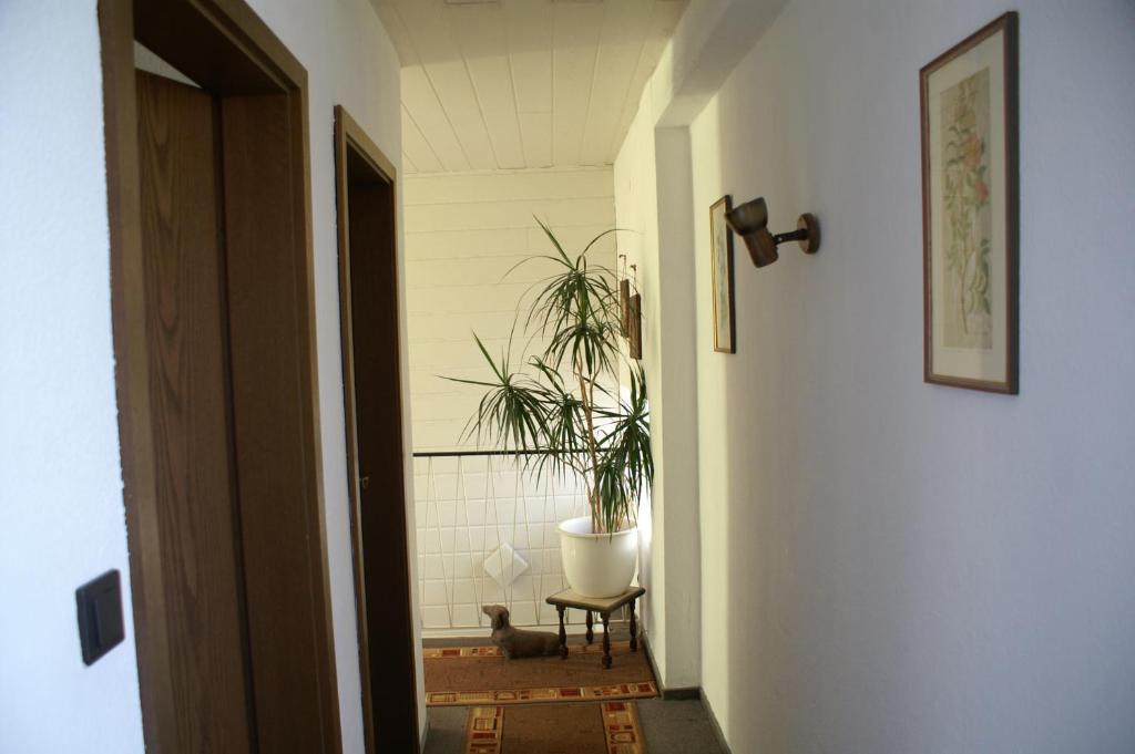 Hotel Prinz Eitel photo