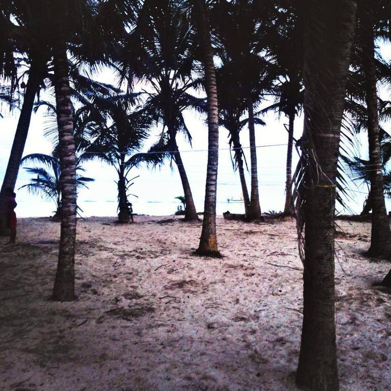 Zippy´s Sea View Apartments photo