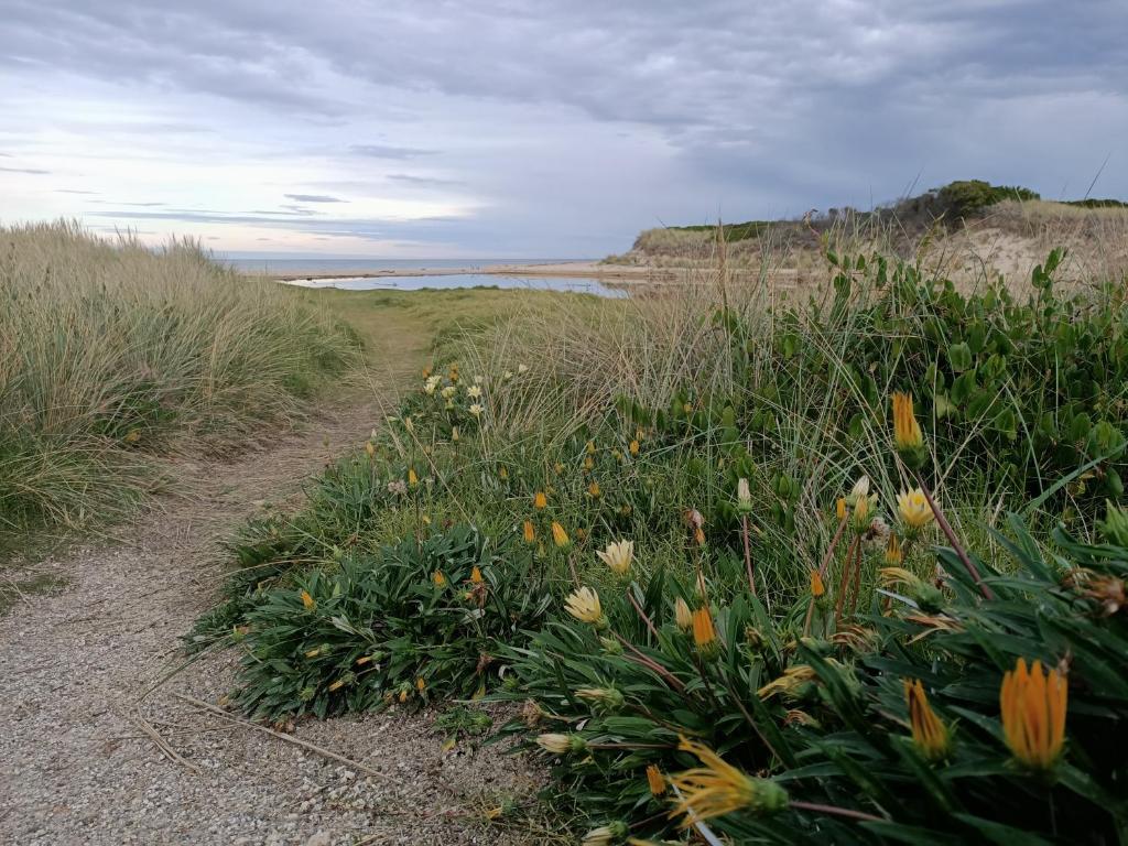 Beaumaris Beach Guest House photo