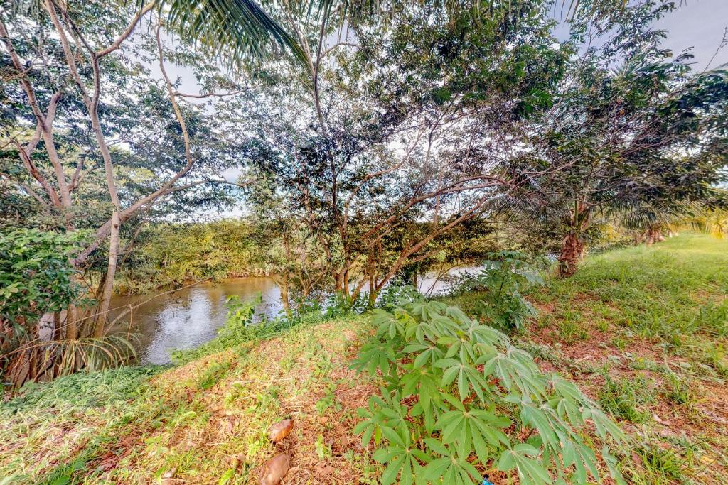 Hummingbird Estate photo