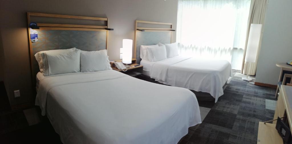 Holiday Inn Express Mexico Reforma by IHG - 5