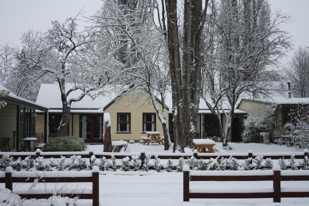Shades of Arrowtown photo