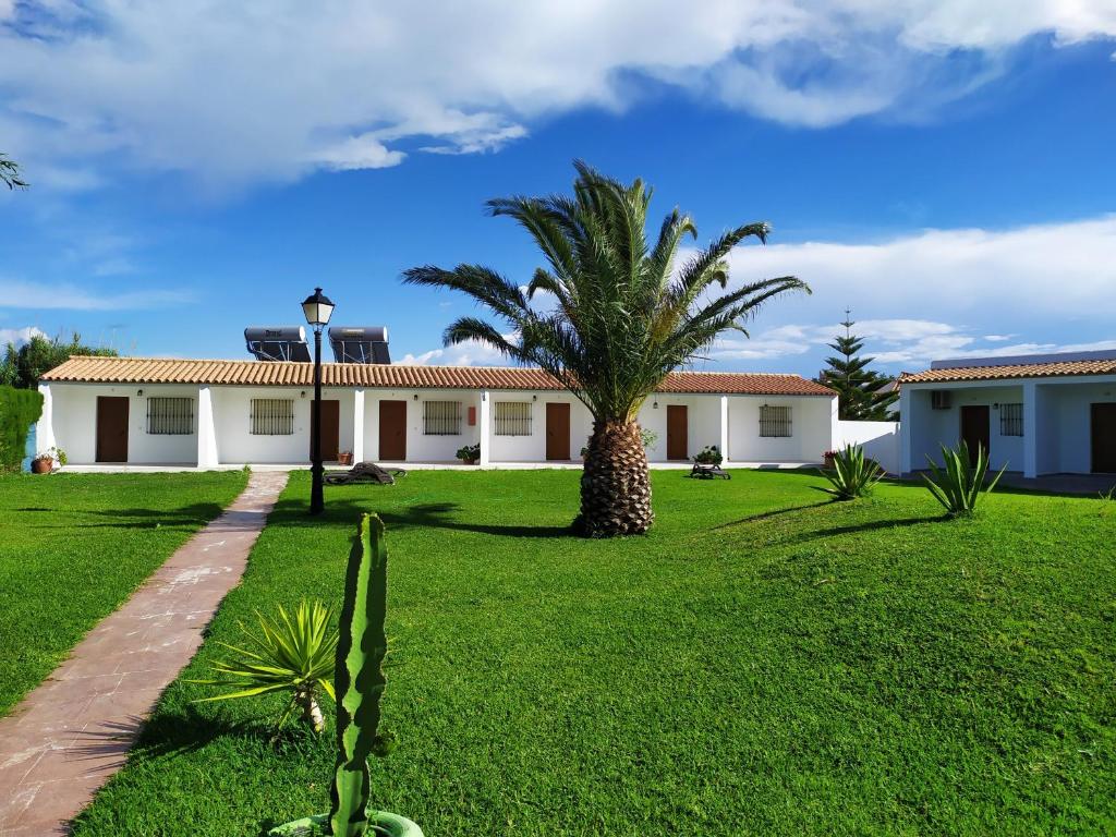 El Levante - 3