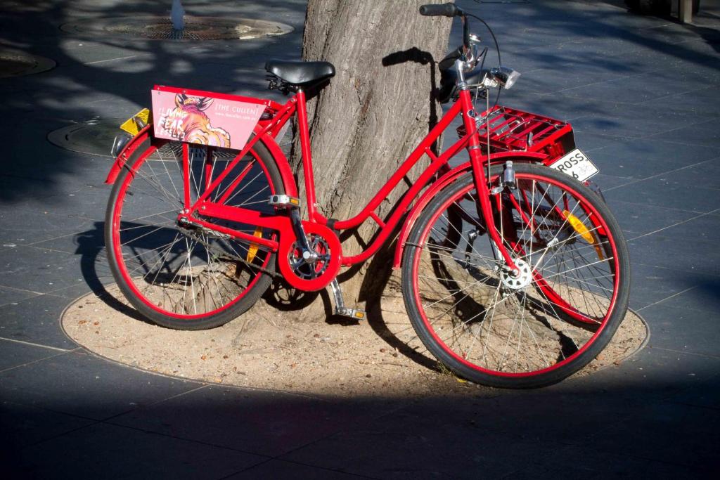 Sports and activities