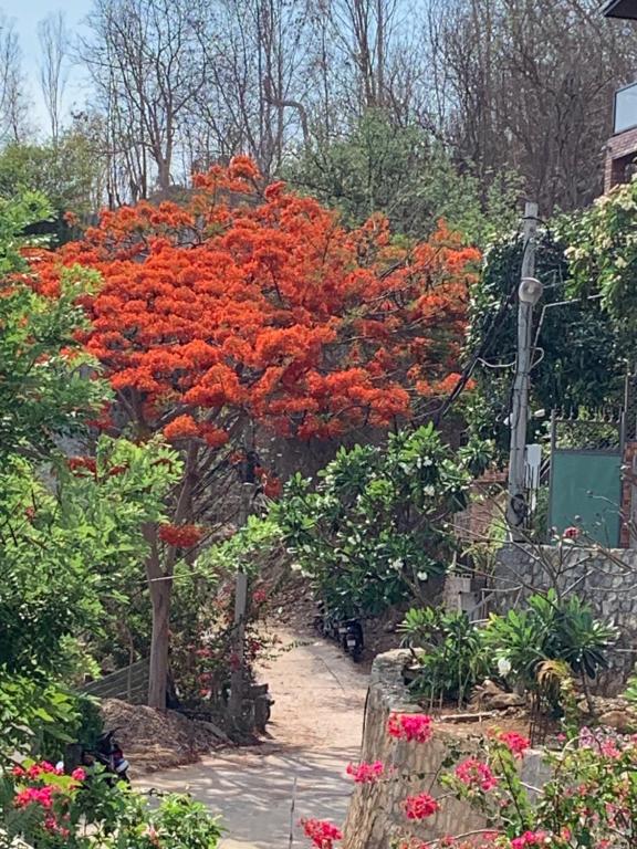 Surrounding environment