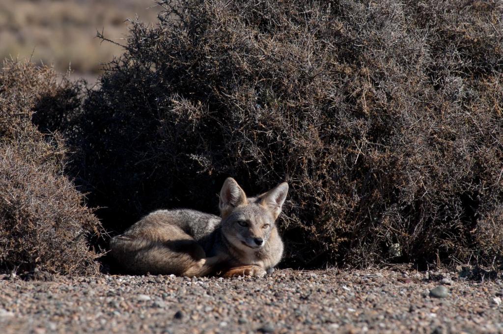 Surrounding environment