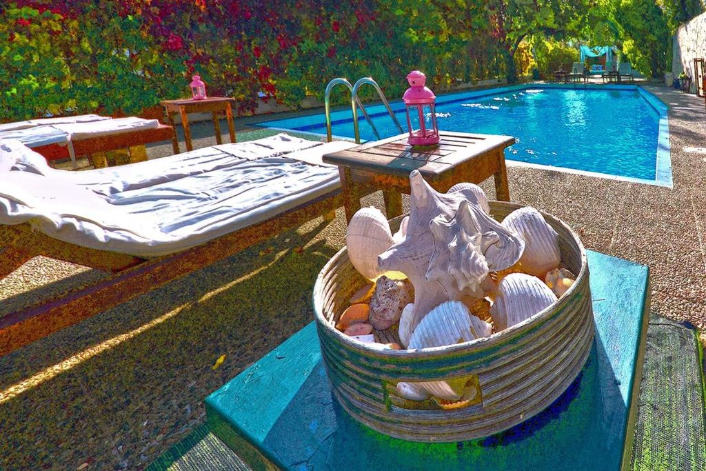 Villa Dolphins photo