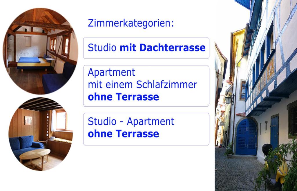Bio-Ferienwohnung Ellensohn - 4