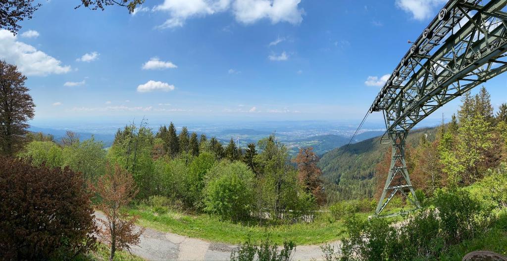 Blackforest Lounge direkt an der Skipiste Ski in & Ski out Skischule im Haus Startpunkt fur Wande 전경