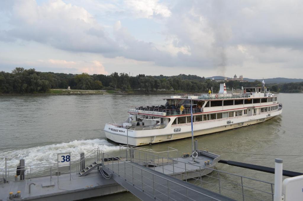 アクティビティ