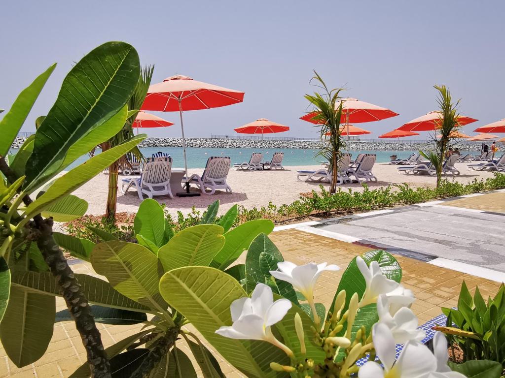 Photo 8 of Mirage Bab Al Bahr Beach Resort