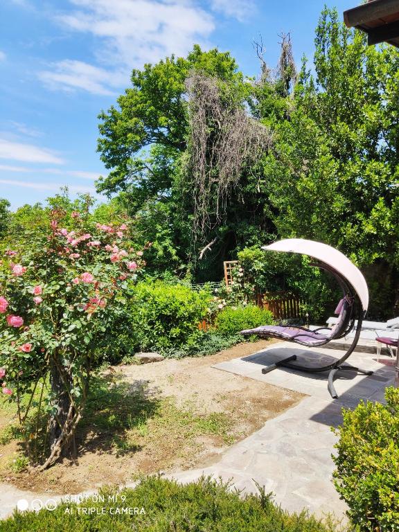 Un Giardino sul Lago - 5