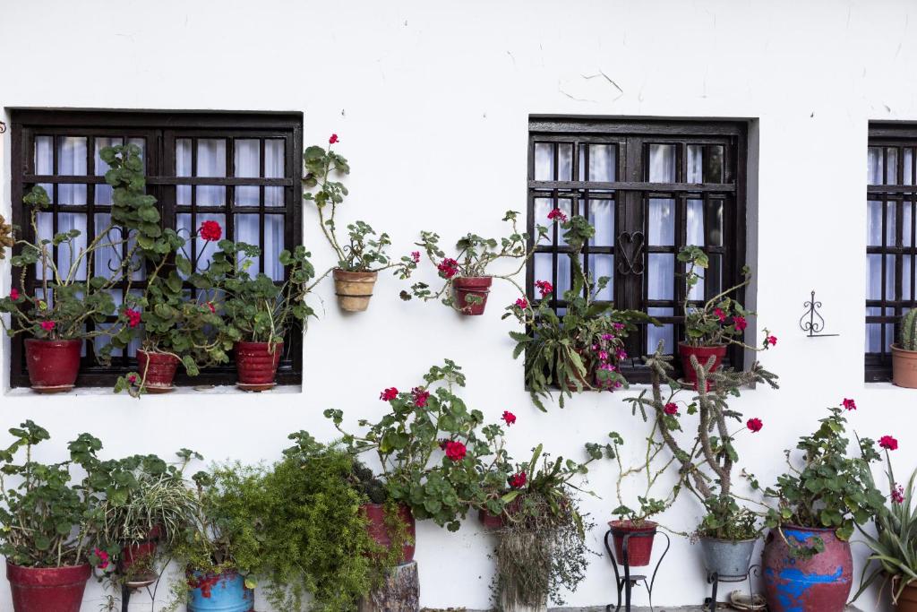 Olerki by Smiling Rentals, Hondarribia