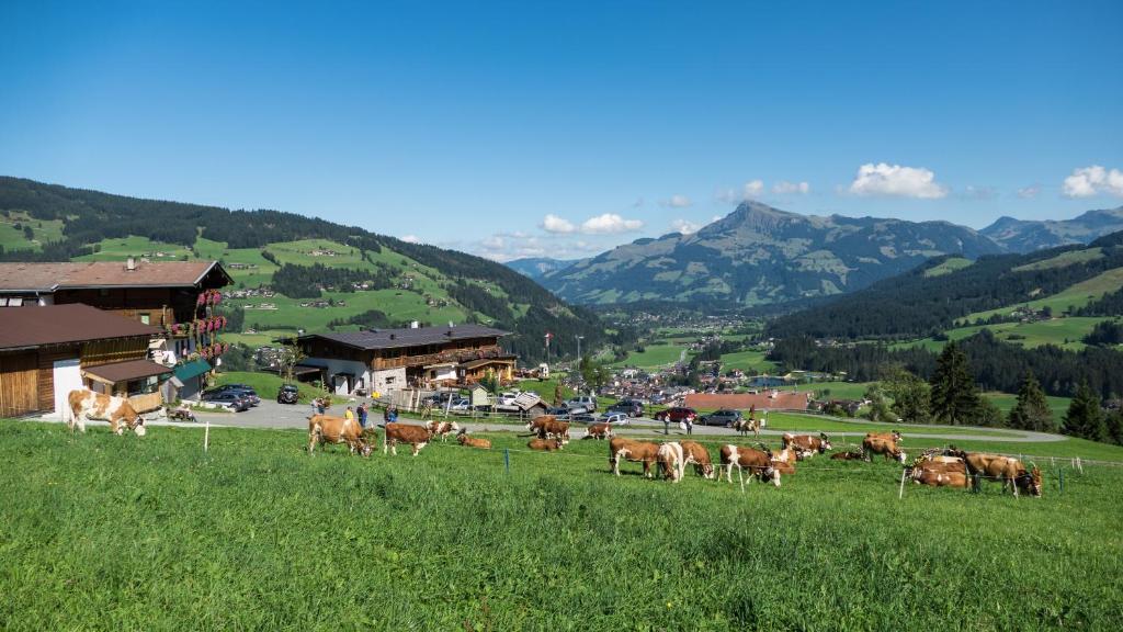 Gasthaus Obergaisberg - 5