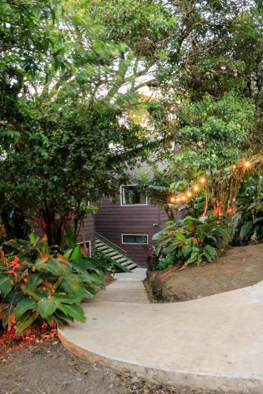 Moon Forest Apartments — Hotel in Monteverde