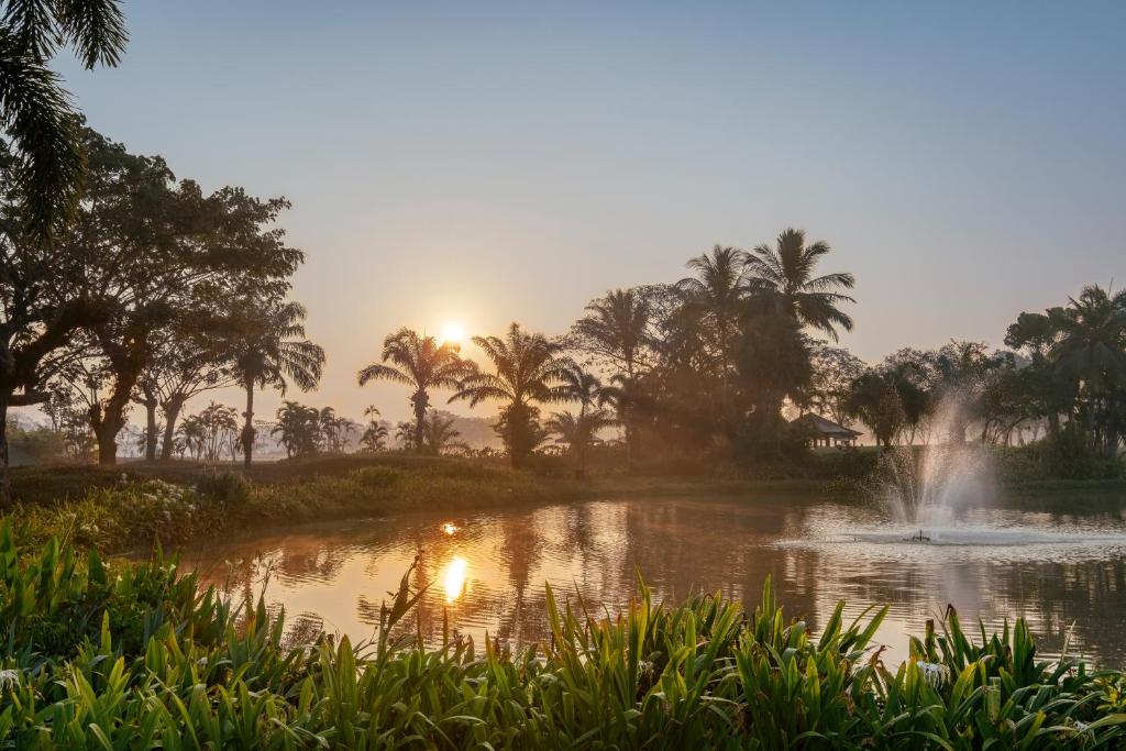 Surrounding environment