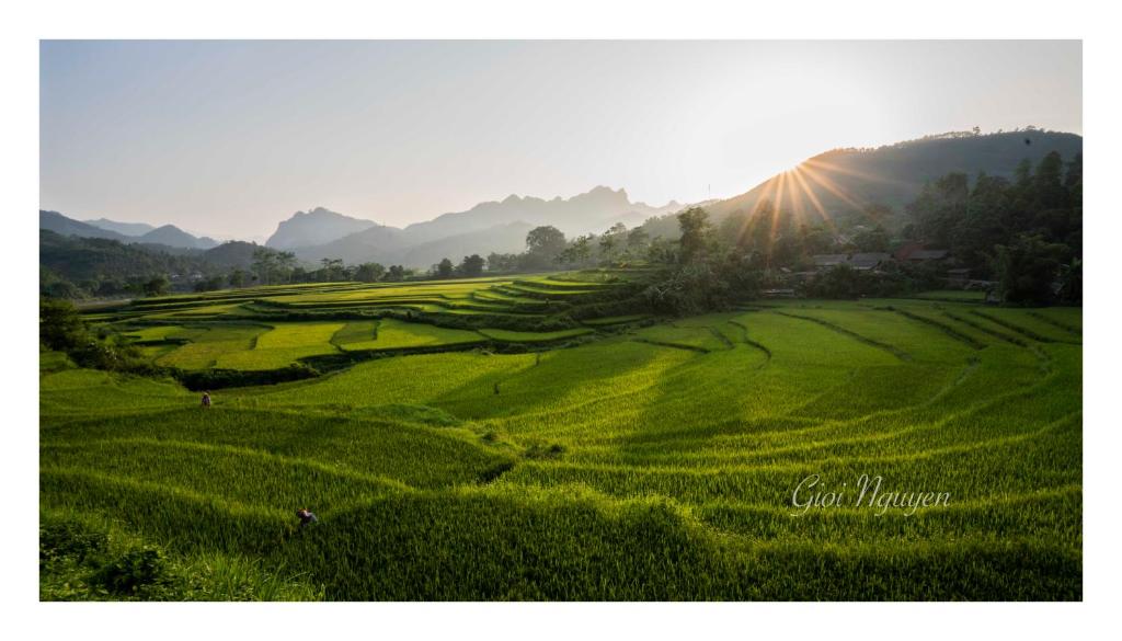 Surrounding environment
