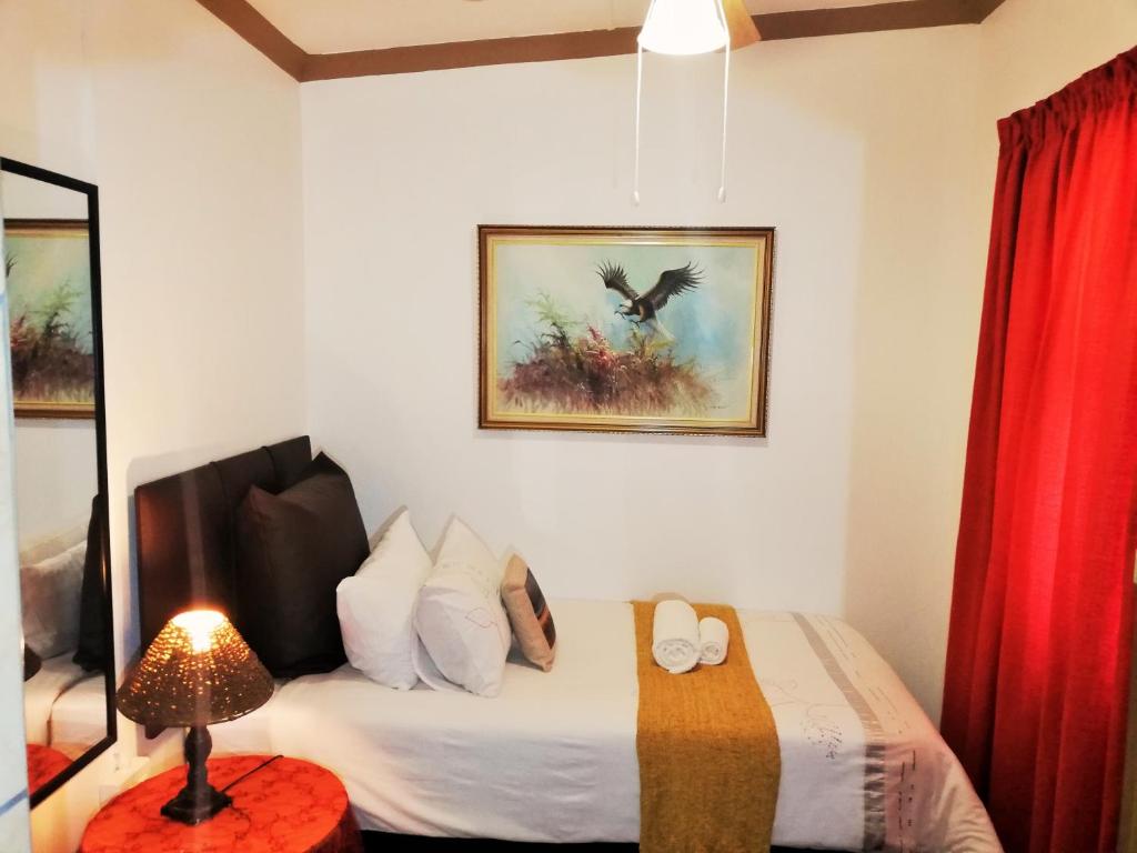 Safari Guesthouse photo
