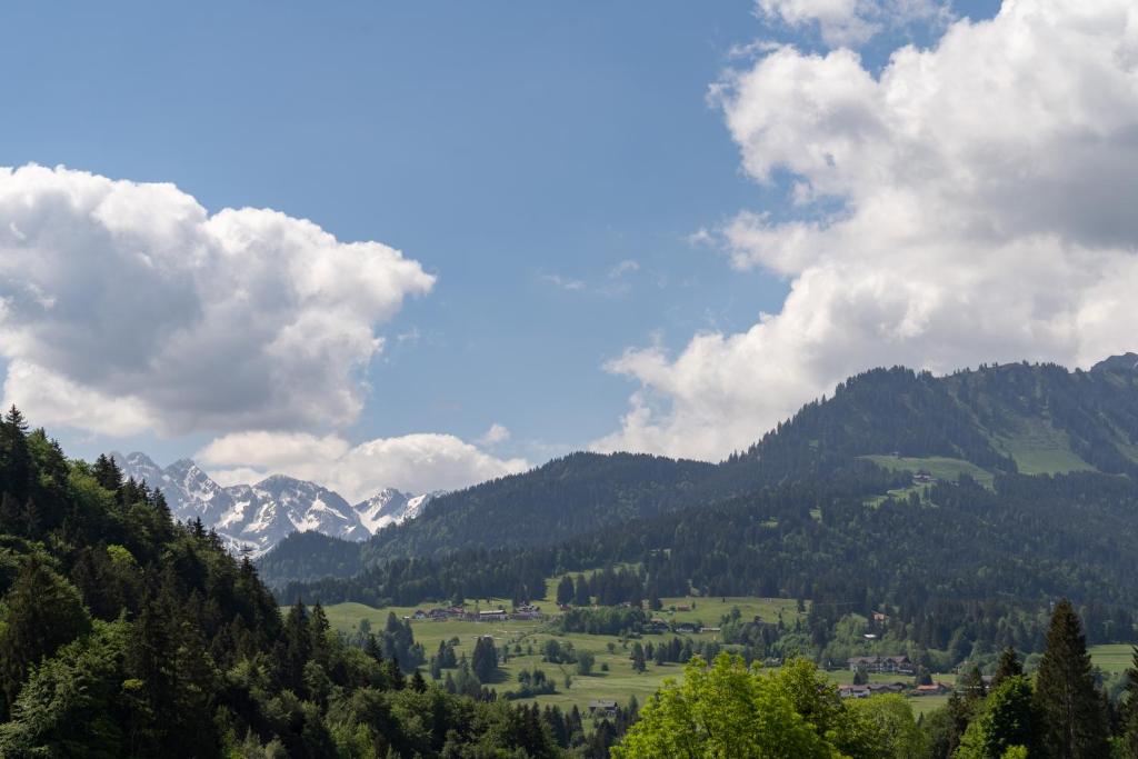 Oberstdorfer Bergwelt 108 - 5
