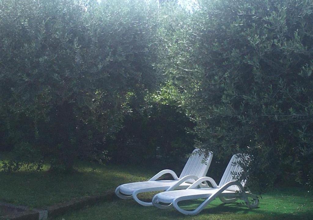 Appartamento Sofia - 3