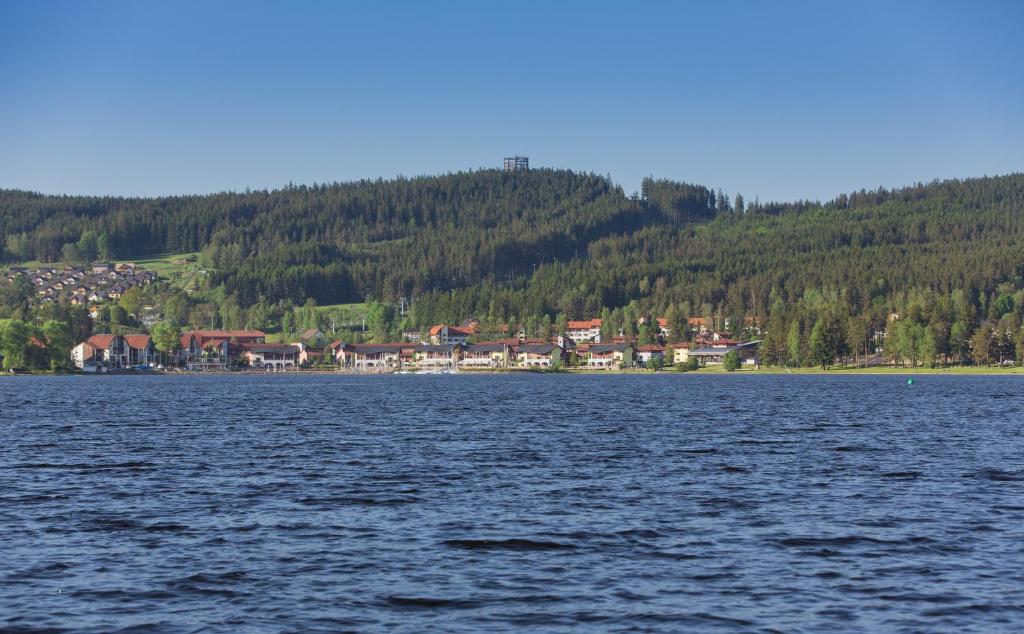 Lipno Lake Apartment, Lipno nad Vltavou
