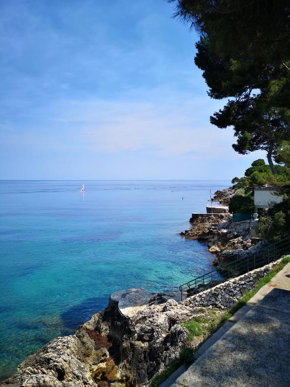 Chez Fifine - 4