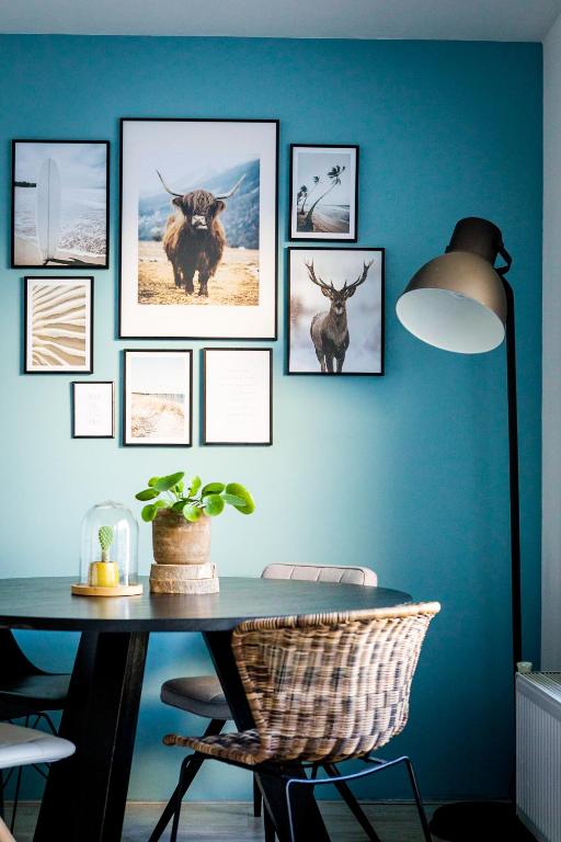 Studio Puuur, Zandvoort