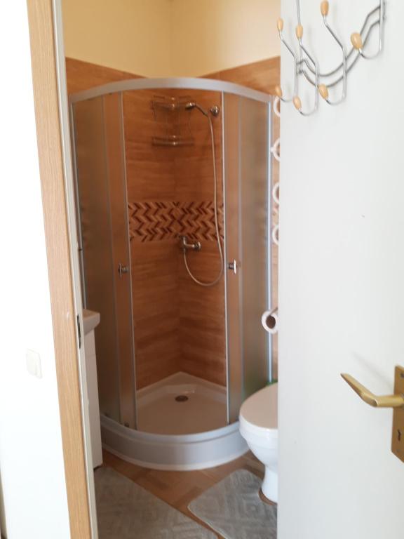 Janina Guest House photo