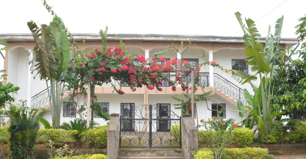 Yaoundé Apartments for Rent, Cameroon price from 19 of Hotels