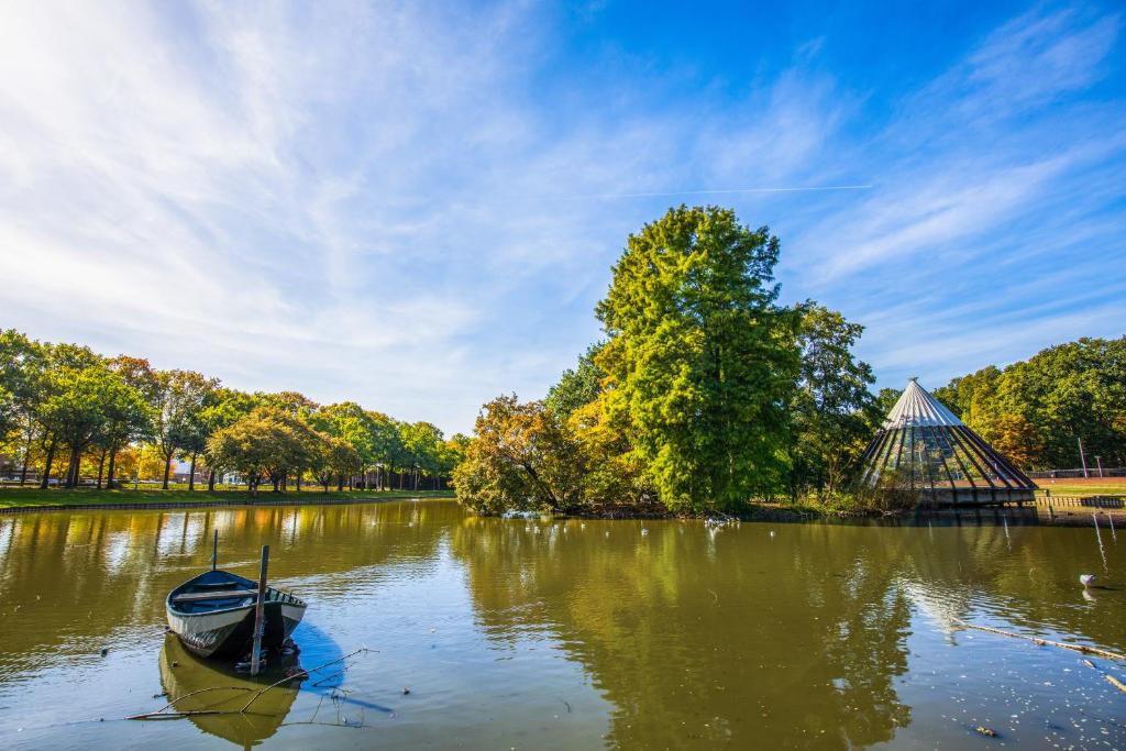 المنطقة المحيطة