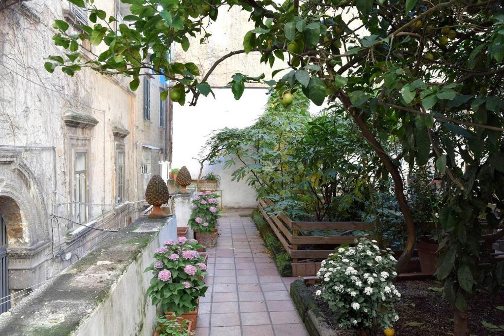 Giardino d'Atri photo